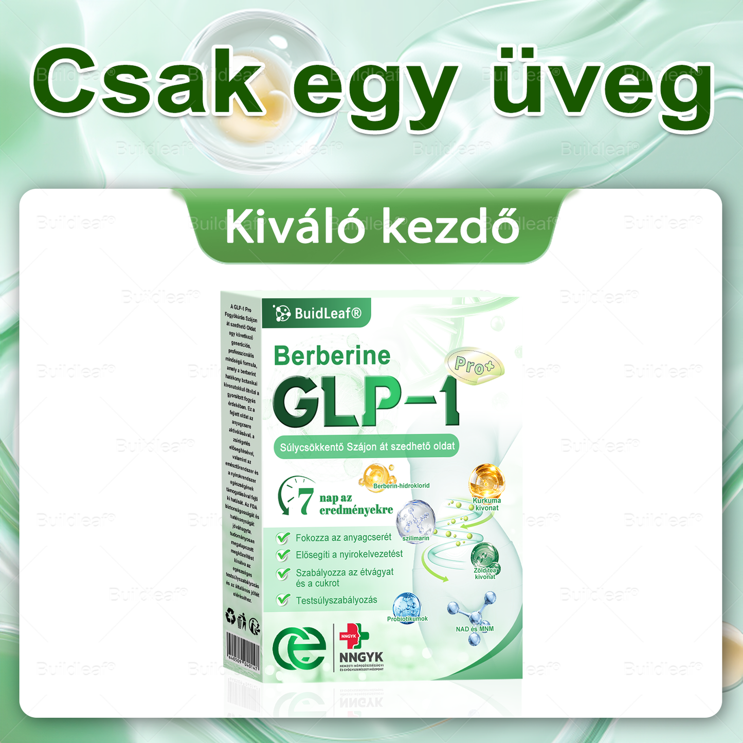 đż Klinikai kutatĂĄsokkal igazolt | A BuildLeafÂź Berberine GLP-1 Pro SĂșlycsökkentĆ SzĂĄjon ĂĄt szedhetĆ oldat segĂthet a makacs sĂșlytöbblet, anyagcsere- Ă©s energiaproblĂ©mĂĄk kezelĂ©sĂ©ben, tĂĄmogatva a jobb közĂ©rzetet Ă©s vitalitĂĄst